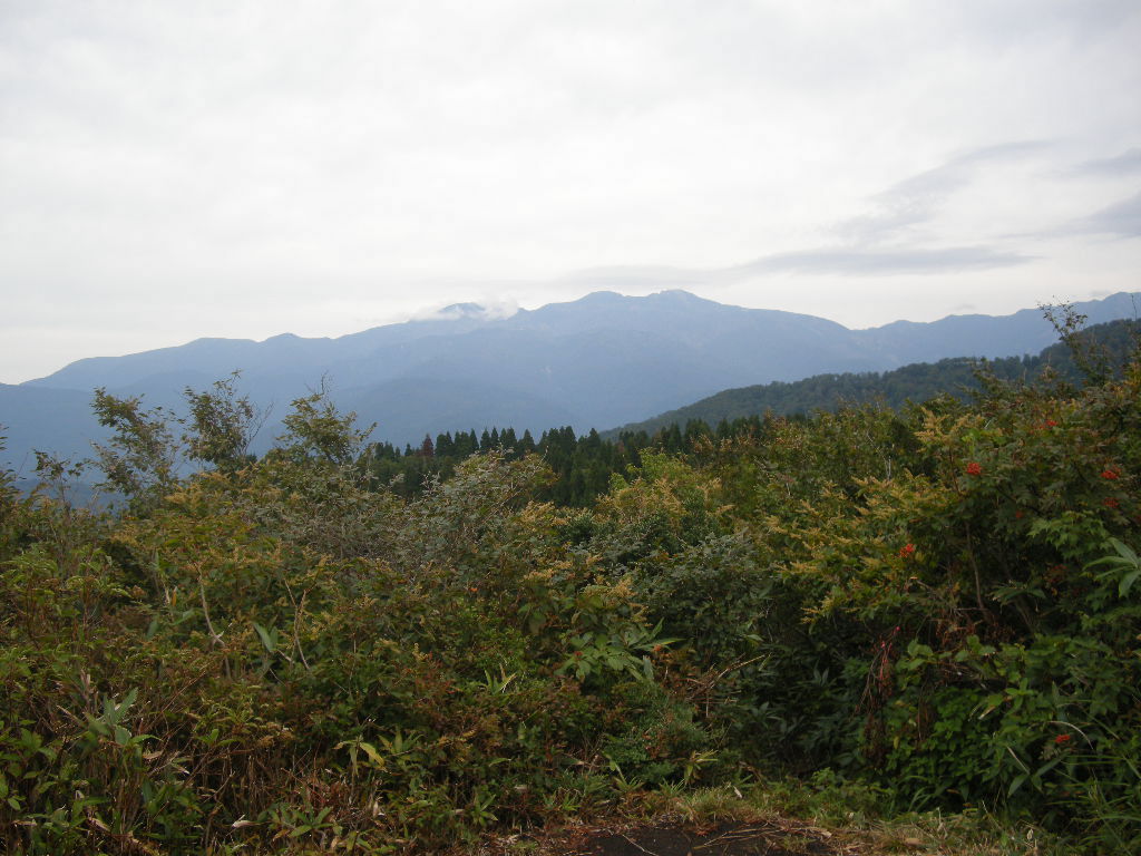 b0185573_5474840.jpg