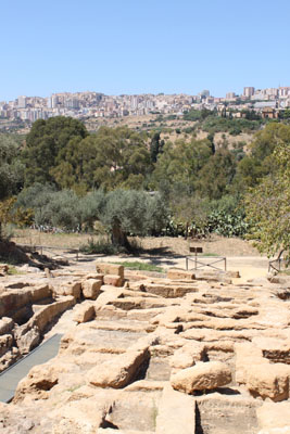 d0175883_51122.jpg