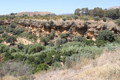 d0175883_5112442.jpg