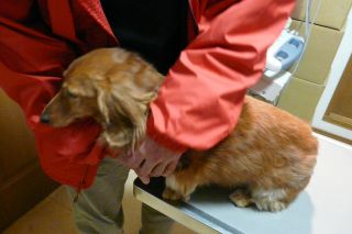 2011年10月7日 連休なんてなしよ!_b0098584_2218182.jpg