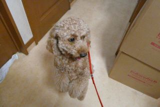 2011年10月7日 連休なんてなしよ!_b0098584_22183882.jpg