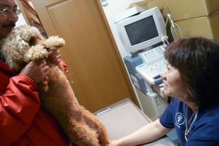 2011年10月7日 連休なんてなしよ!_b0098584_22185435.jpg