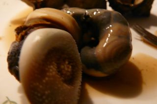 2011年10月7日 連休なんてなしよ!_b0098584_22201644.jpg