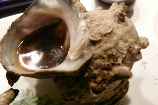 2011年10月7日 連休なんてなしよ!_b0098584_2220399.jpg