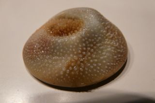 2011年10月7日 連休なんてなしよ!_b0098584_22204030.jpg