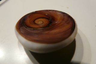 2011年10月7日 連休なんてなしよ!_b0098584_22205810.jpg