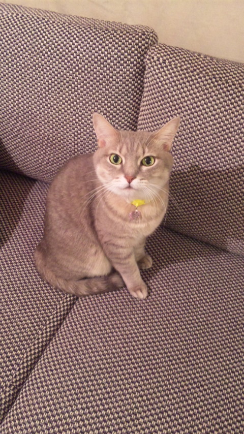 c0180885_10291018.jpg