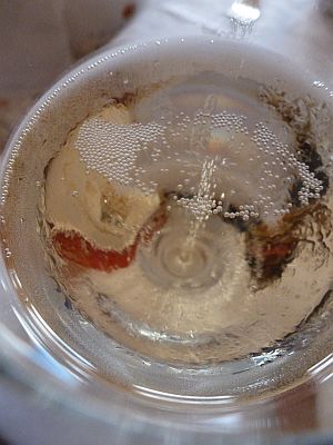 f0169885_3193371.jpg