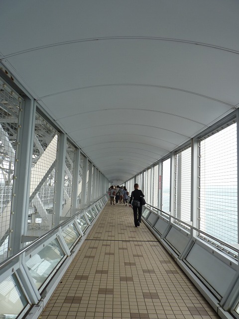 e0061694_2464256.jpg