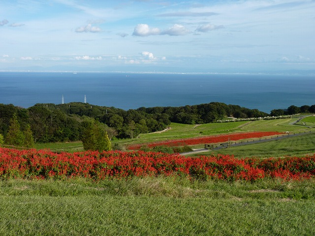 e0061694_354151.jpg