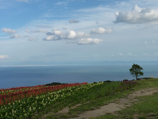 e0061694_364523.jpg