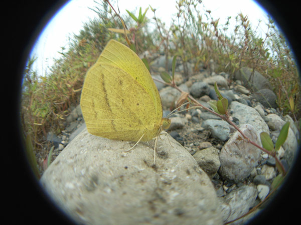 c0049095_21253988.jpg