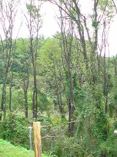 f0177295_23155195.jpg