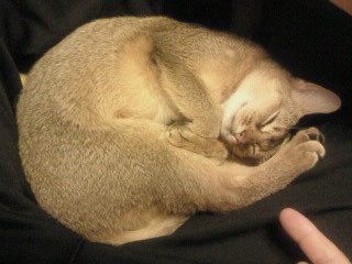 f0061797_2332720.jpg