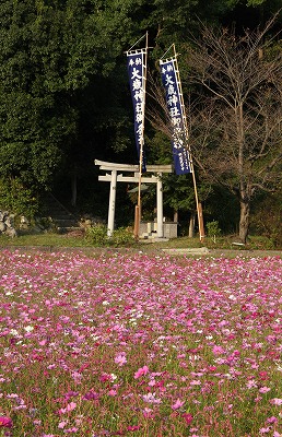 a0123003_2226788.jpg