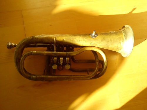 Picidae - Eirik の楽器_e0081206_2242411.jpg