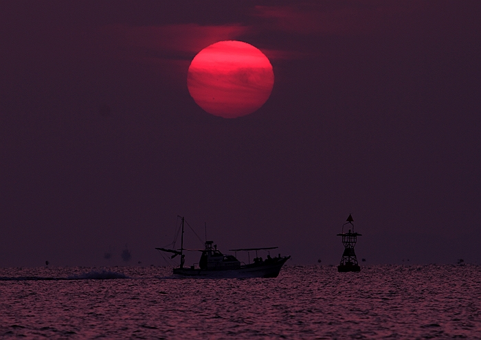 笠岡水落の　”達磨朝日”_a0140608_8111255.jpg