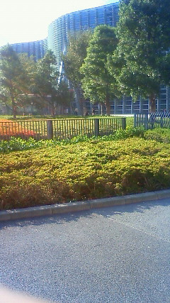 c0067209_7595665.jpg