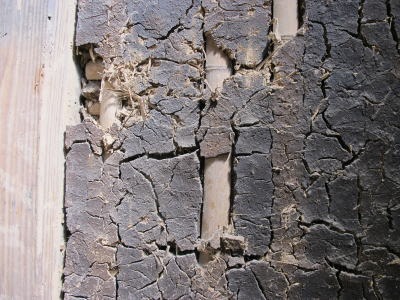c0178009_23574152.jpg