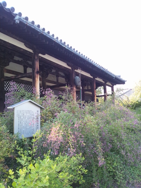 b0021311_23392481.jpg