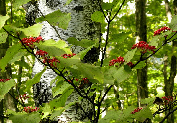 f0133013_81453.jpg