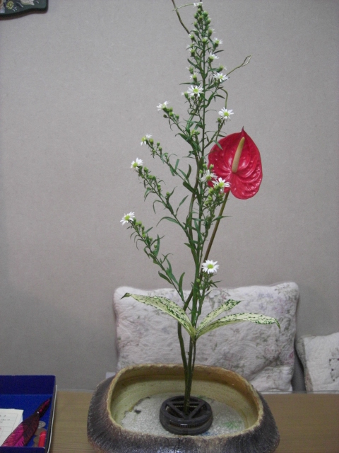 f0226713_017331.jpg
