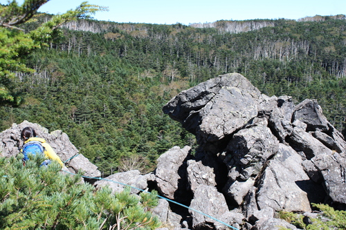 北八ヶ岳・天狗岳に登る　⑨_b0093515_731191.jpg