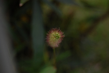 f0085219_2243351.jpg