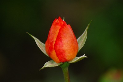 f0170524_15573845.jpg