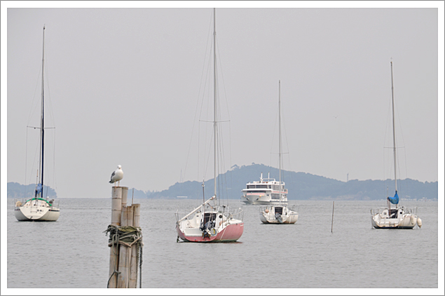 -Walks in the Matsushima park-_f0235326_2314631.jpg