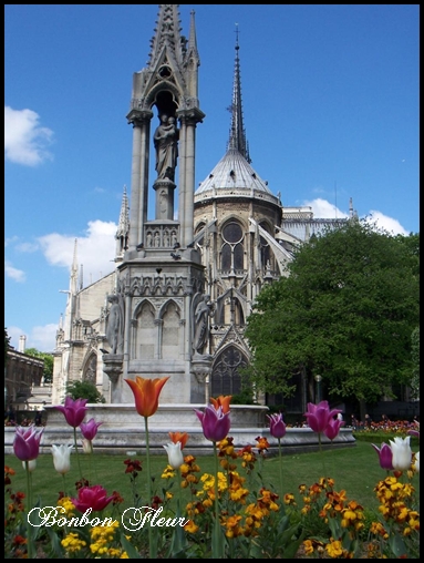 c0176527_1059740.jpg