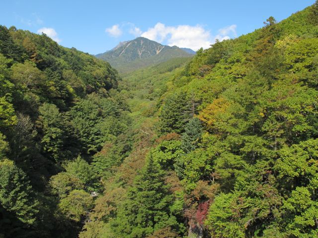 b0179231_8215545.jpg