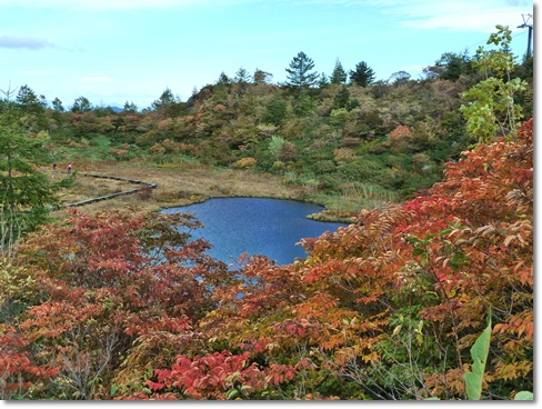 草津白根山芳ヶ平ハイキング PART2_d0140133_9524880.jpg