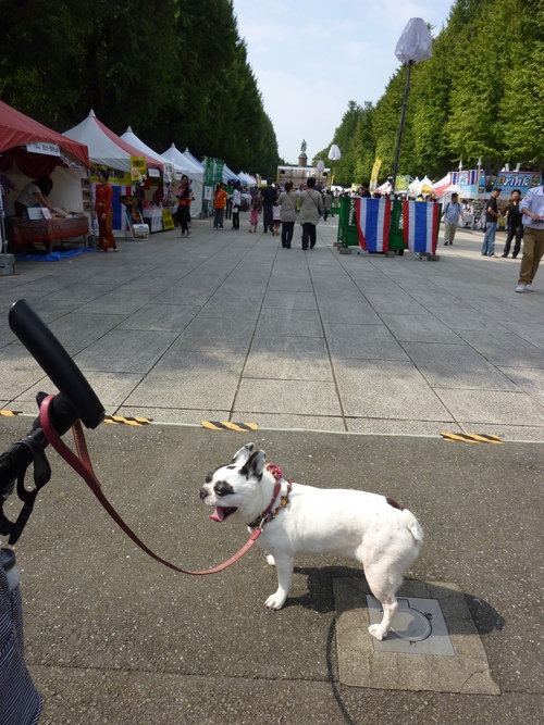 靖国神社へタイフェス見物散歩_a0052736_14585142.jpg