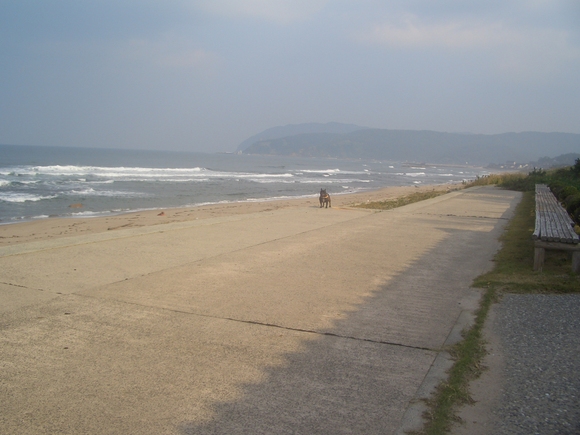 a0198841_9485826.jpg