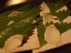 b0171244_2123569.jpg