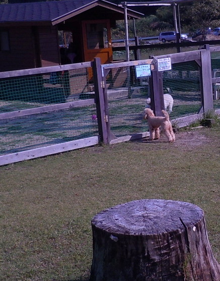 e0028446_21543920.jpg