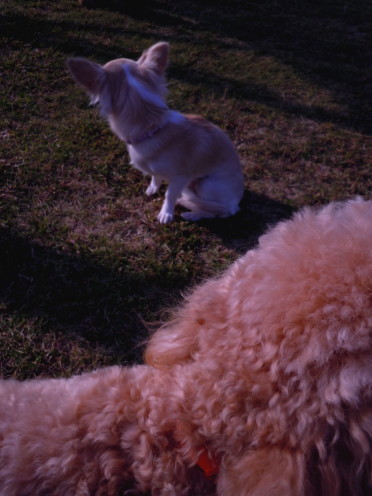 e0028446_2201985.jpg