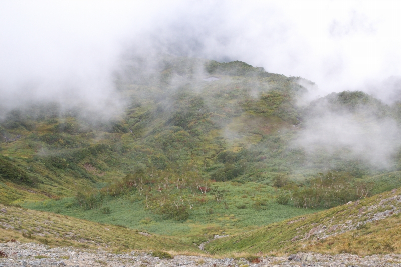 b0147449_172614.jpg