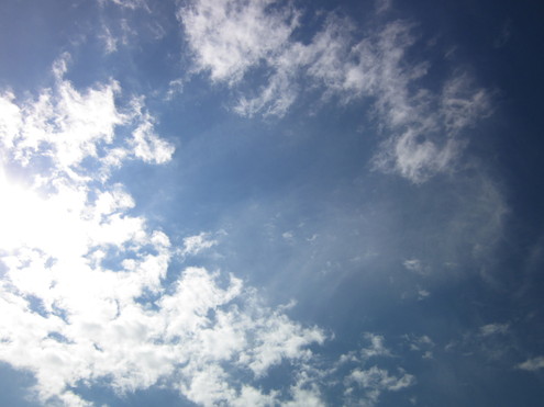 a0162251_11402568.jpg