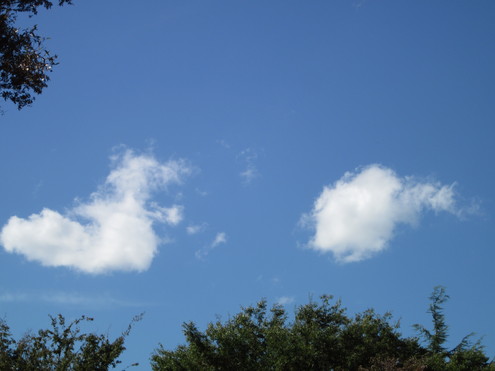 a0162251_11484437.jpg
