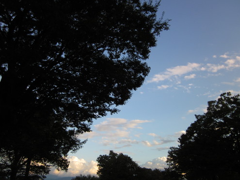 a0162251_11494324.jpg