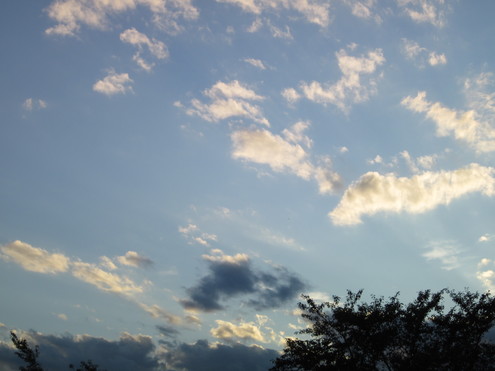 a0162251_11511040.jpg