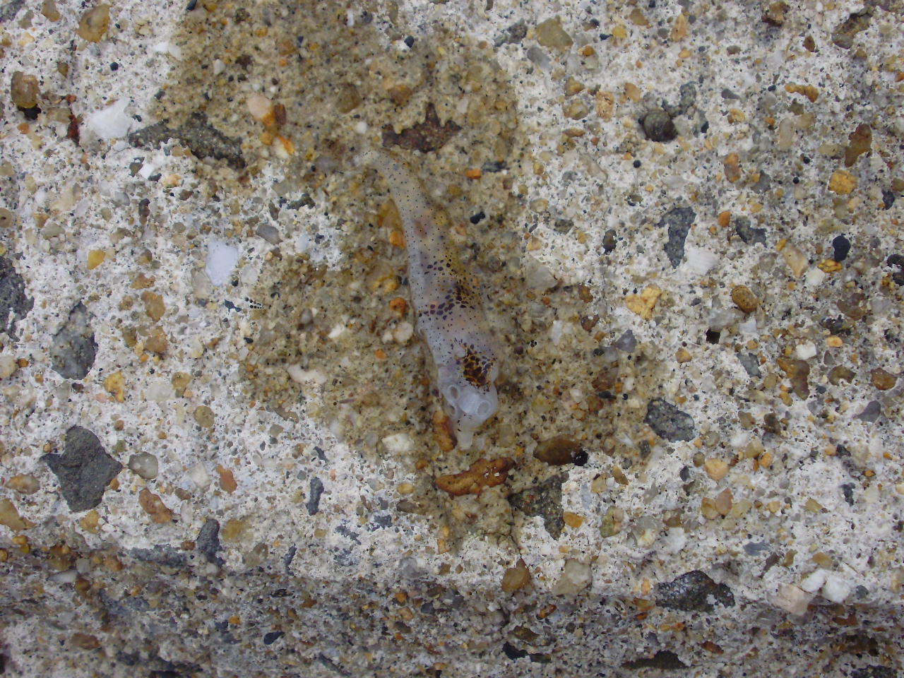 b0180367_2327246.jpg