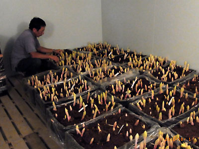 e0097770_01572.jpg
