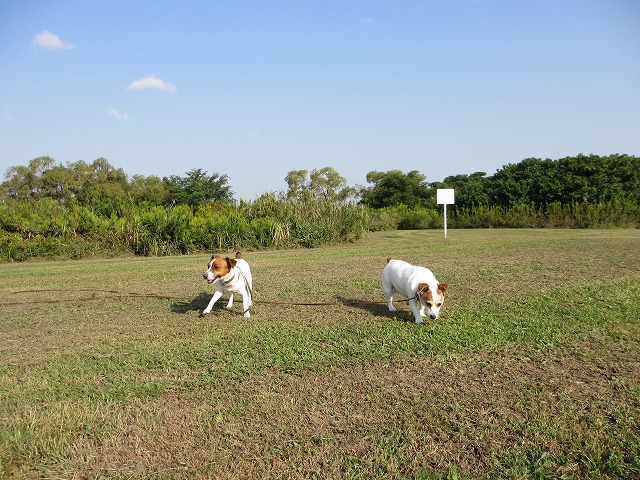 e0106372_942034.jpg