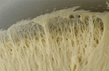 c0196673_942142.gif