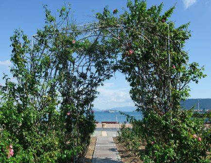 佐賀大医学部付属病院,ガーゼ6年間遺残事故を発表_b0206085_17393823.jpg