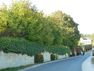 f0169885_1926579.jpg