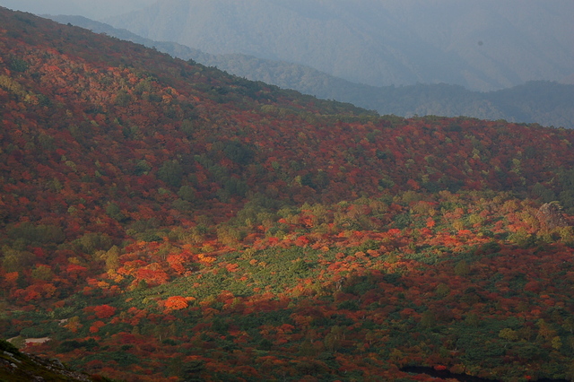 b0203588_1893844.jpg